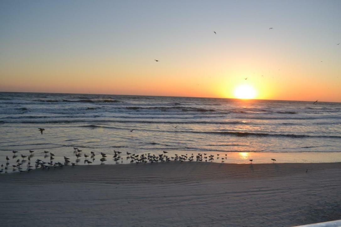 Daytona Beach Studio Condo With Beautiful Ocean View Kültér fotó